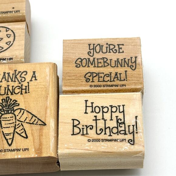 Stampin' Up! Funny Bunny Rubber Stamps Easter Rabbit Carrots Birthday Thanks - Picture 7 of 11